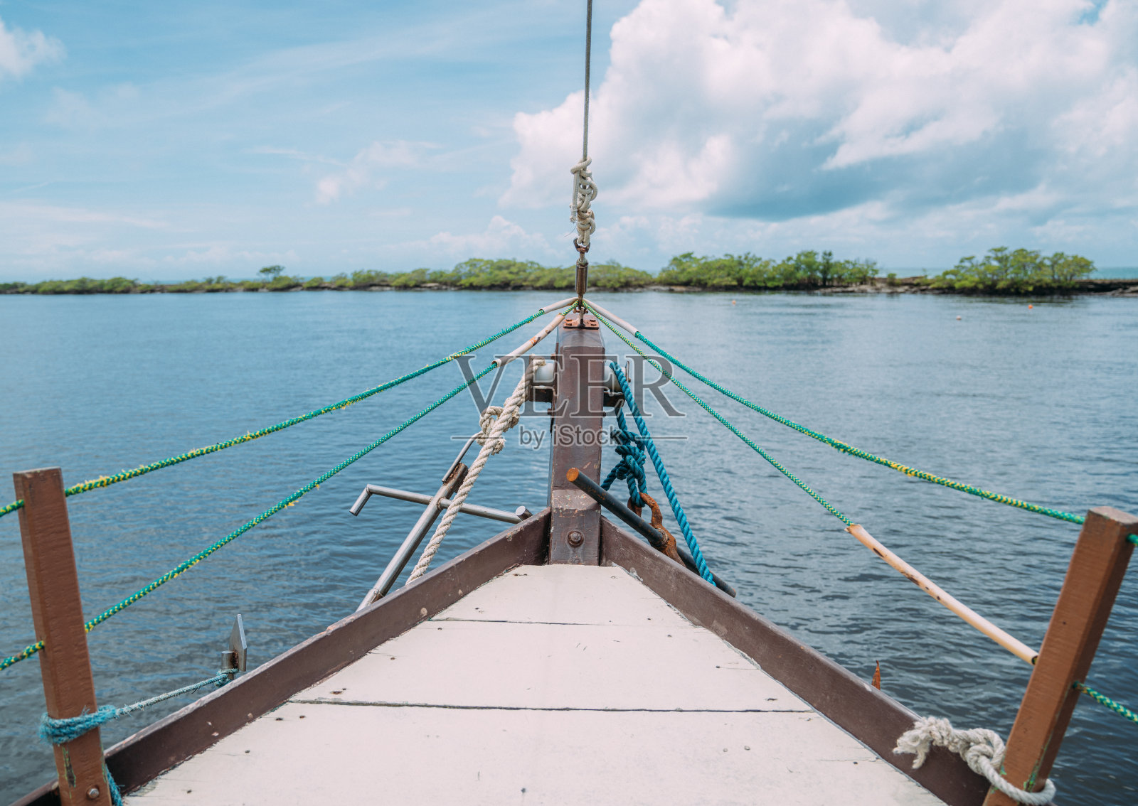 乘船穿越巴西红树林沼泽照片摄影图片