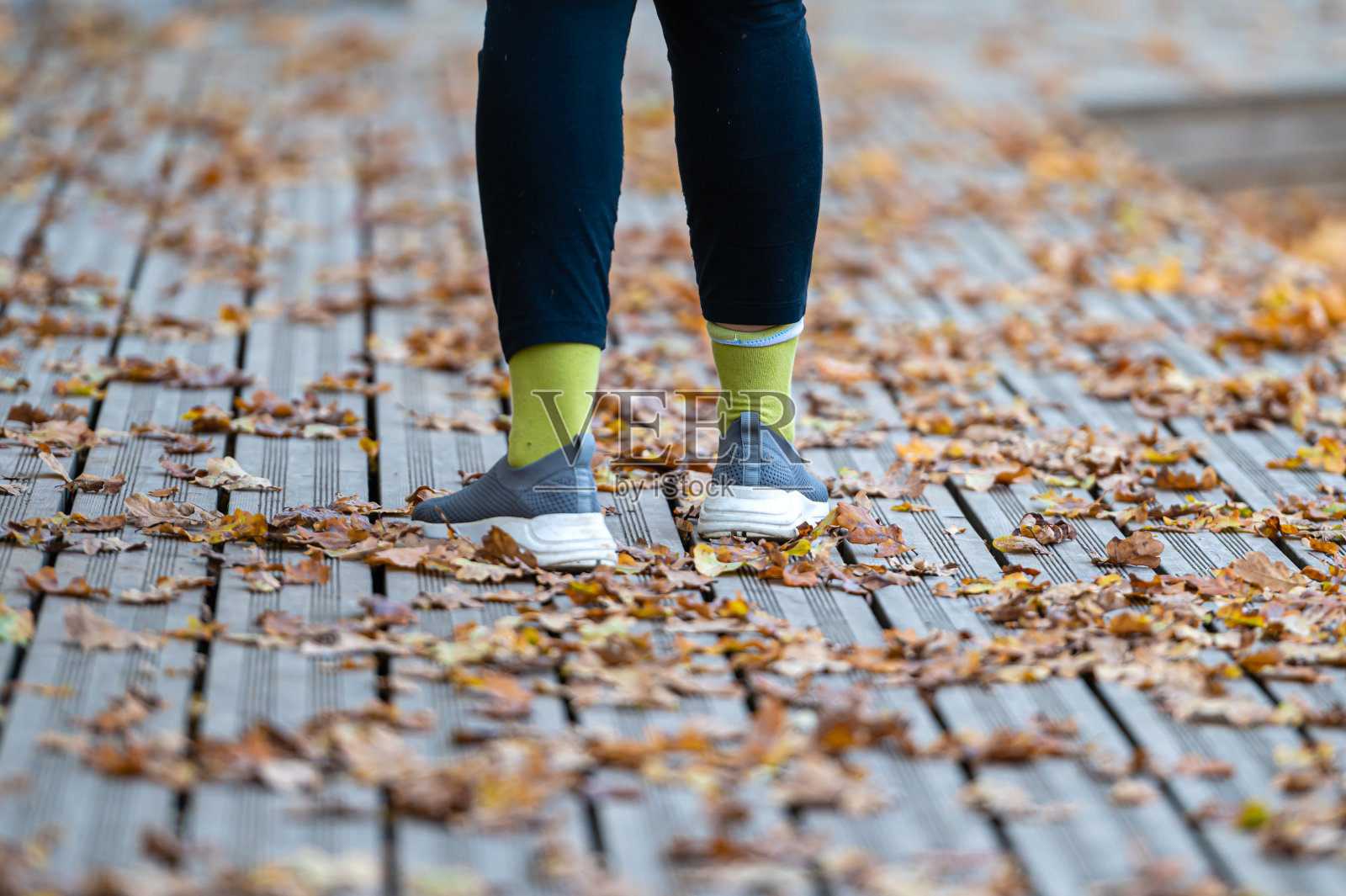 特写镜头:一个女性的腿走在覆盖着秋叶的木制小径上照片摄影图片