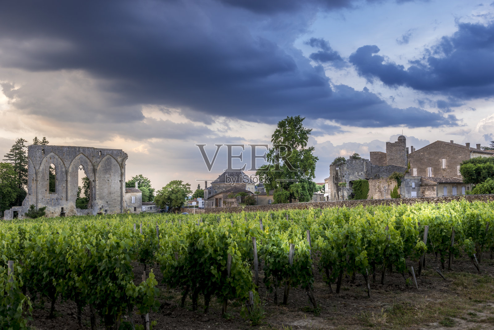 Saint Émilion著名的法国葡萄园照片摄影图片