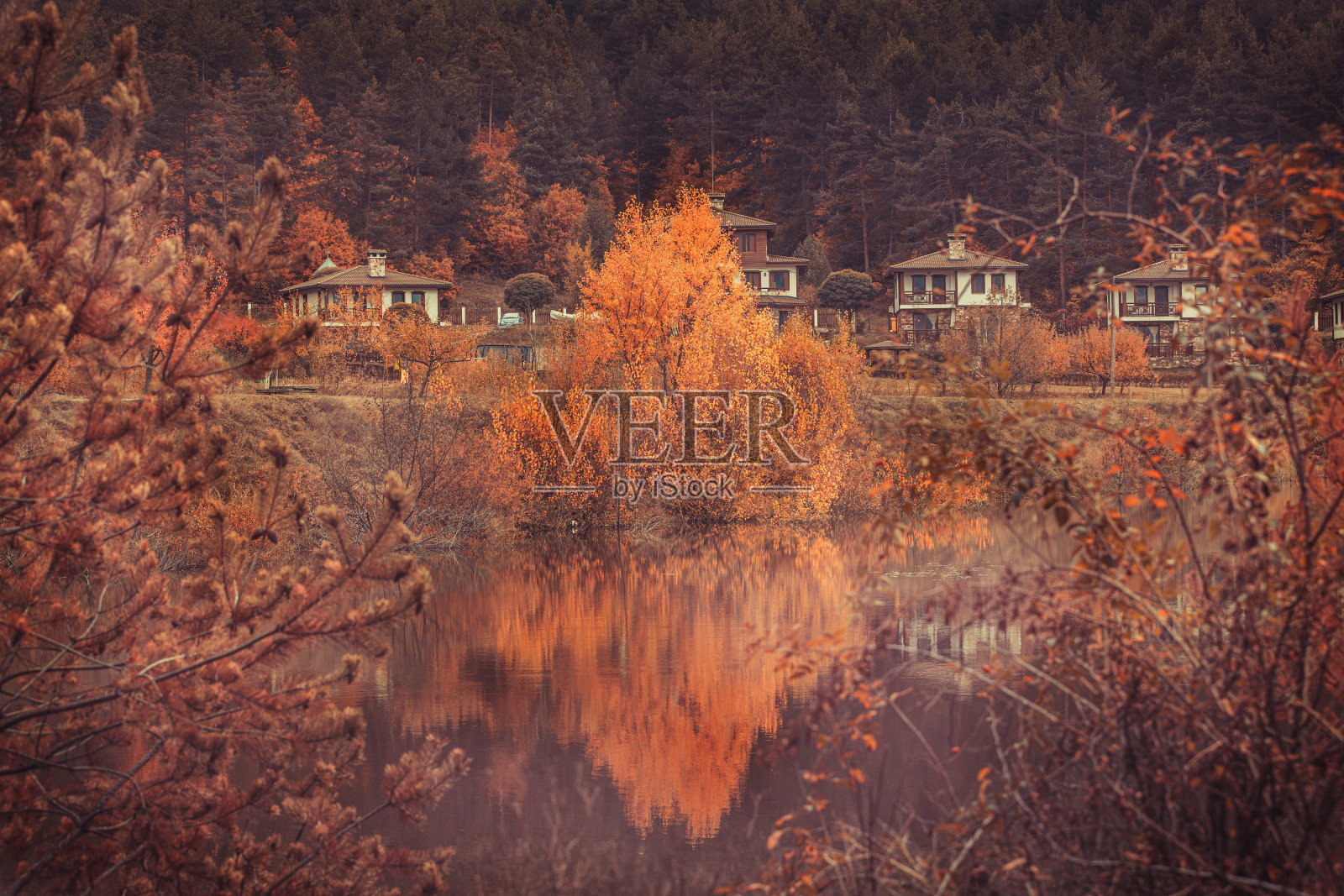 保加利亚，秋天的风景，有湖和房子照片摄影图片