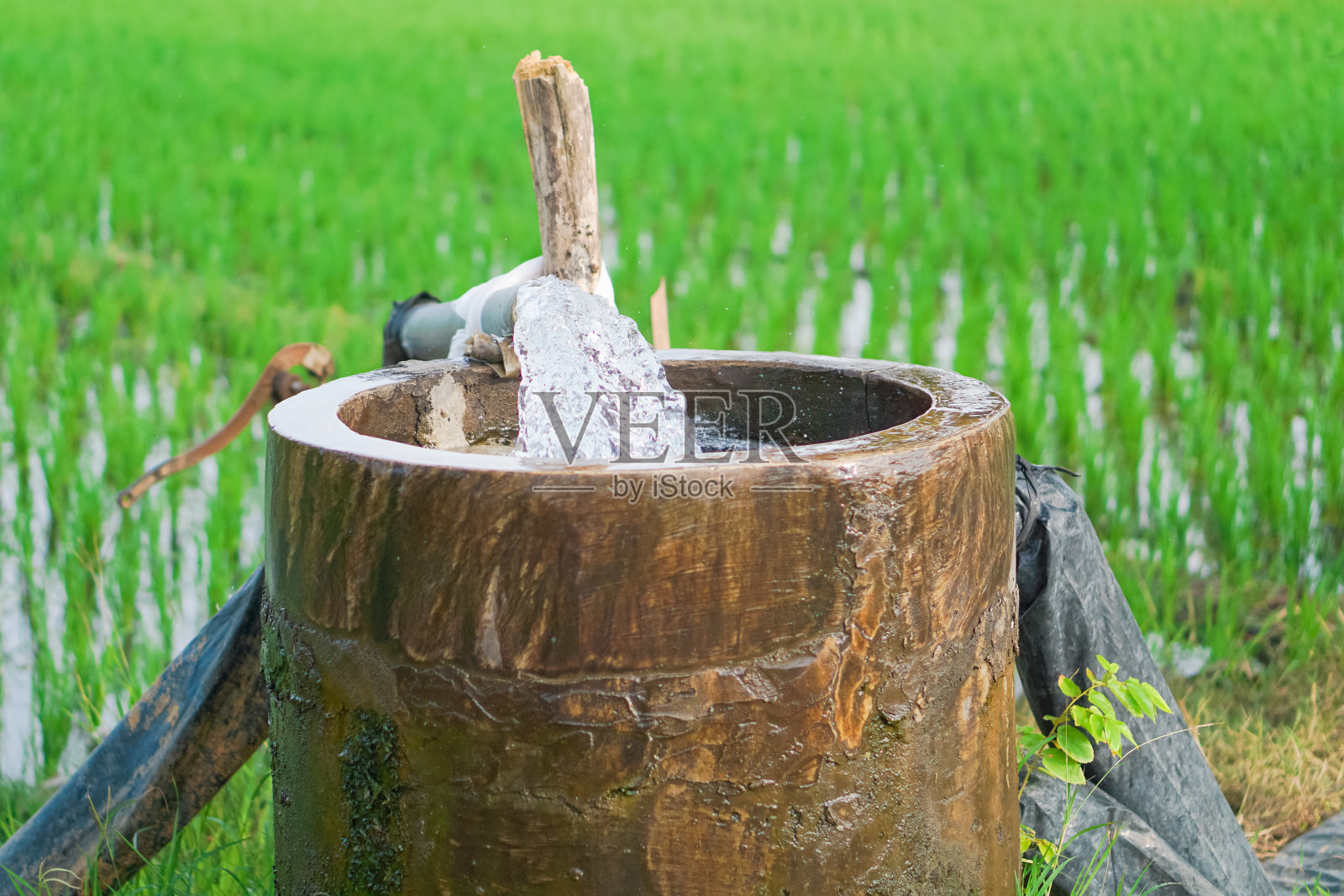稻田灌溉渠照片摄影图片