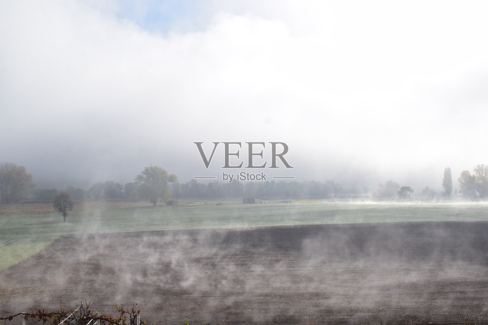 农田上消失的雾里最后的湿气Thürer Wiesen照片摄影图片