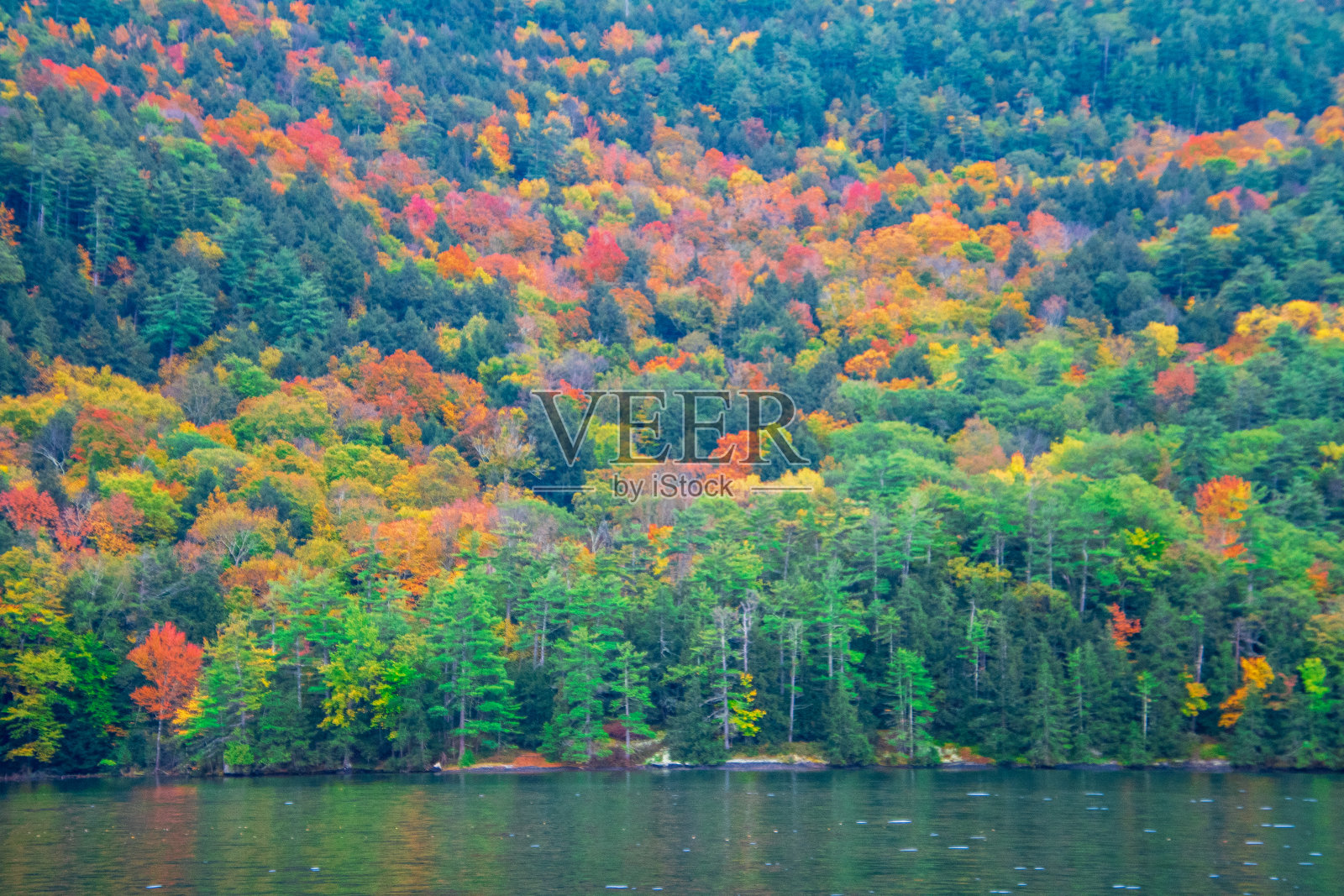 湖岸的秋色照片摄影图片