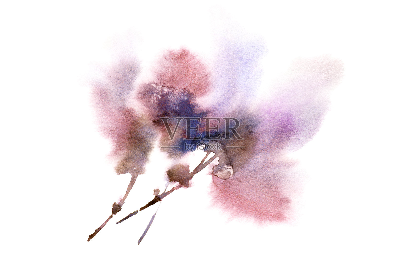 粉红色的水彩花。花卉婚礼请柬设计插画图片素材