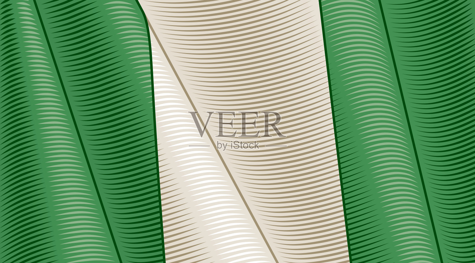 尼日利亚的复古旗帜。特写镜头背景插画图片素材