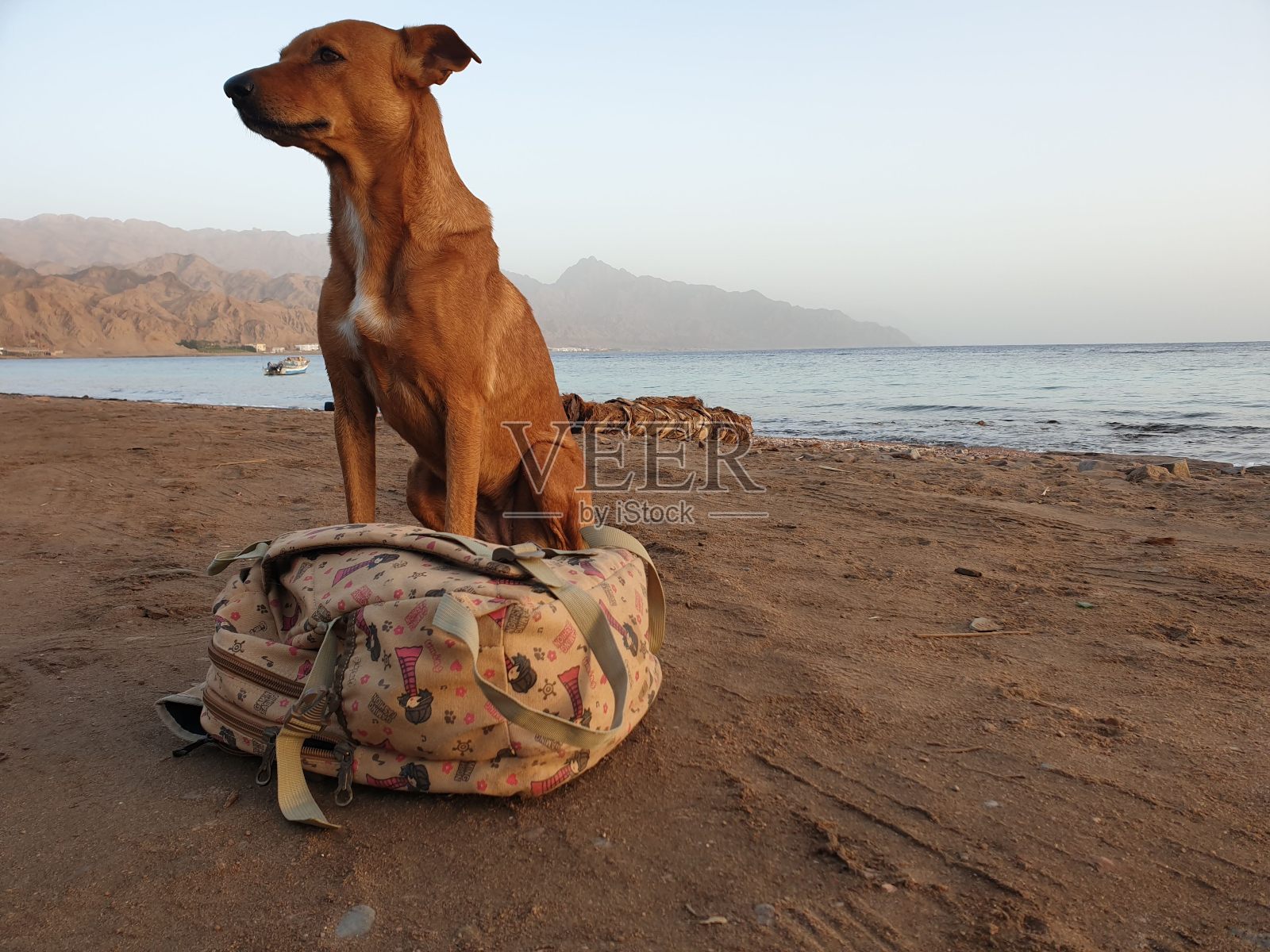 又一张照片照片摄影图片