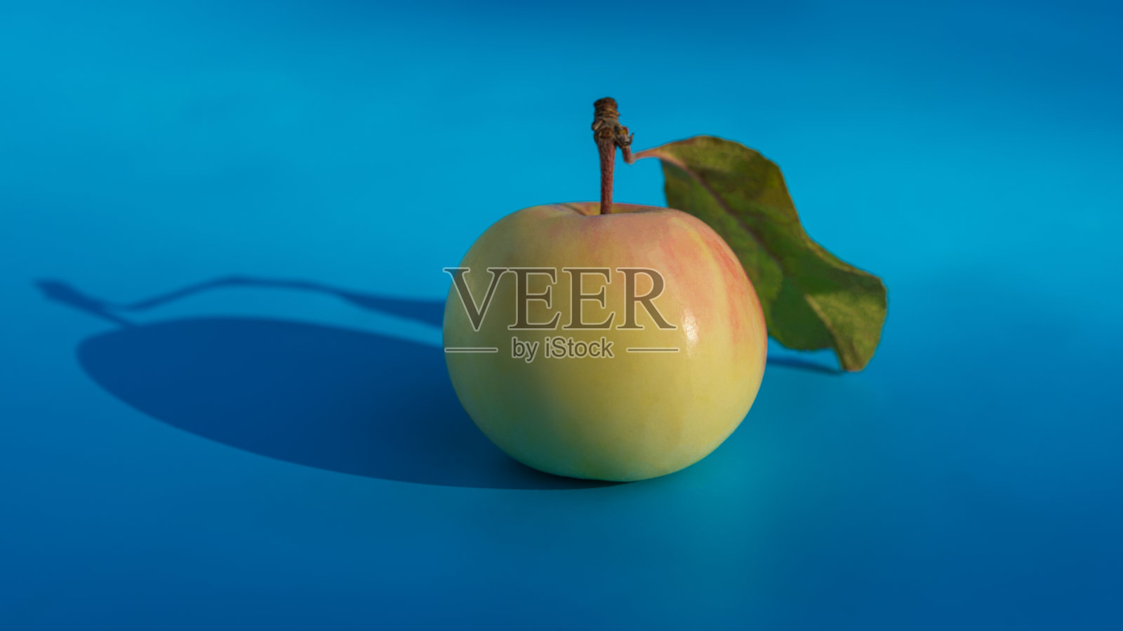 苹果绿，白色，蓝色背景上有叶子。照片摄影图片