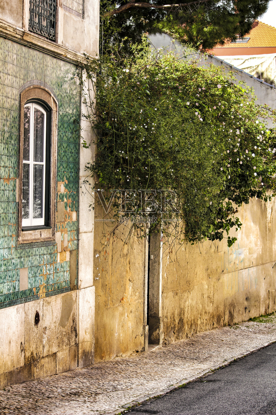 里斯本古老而多彩的立面照片摄影图片