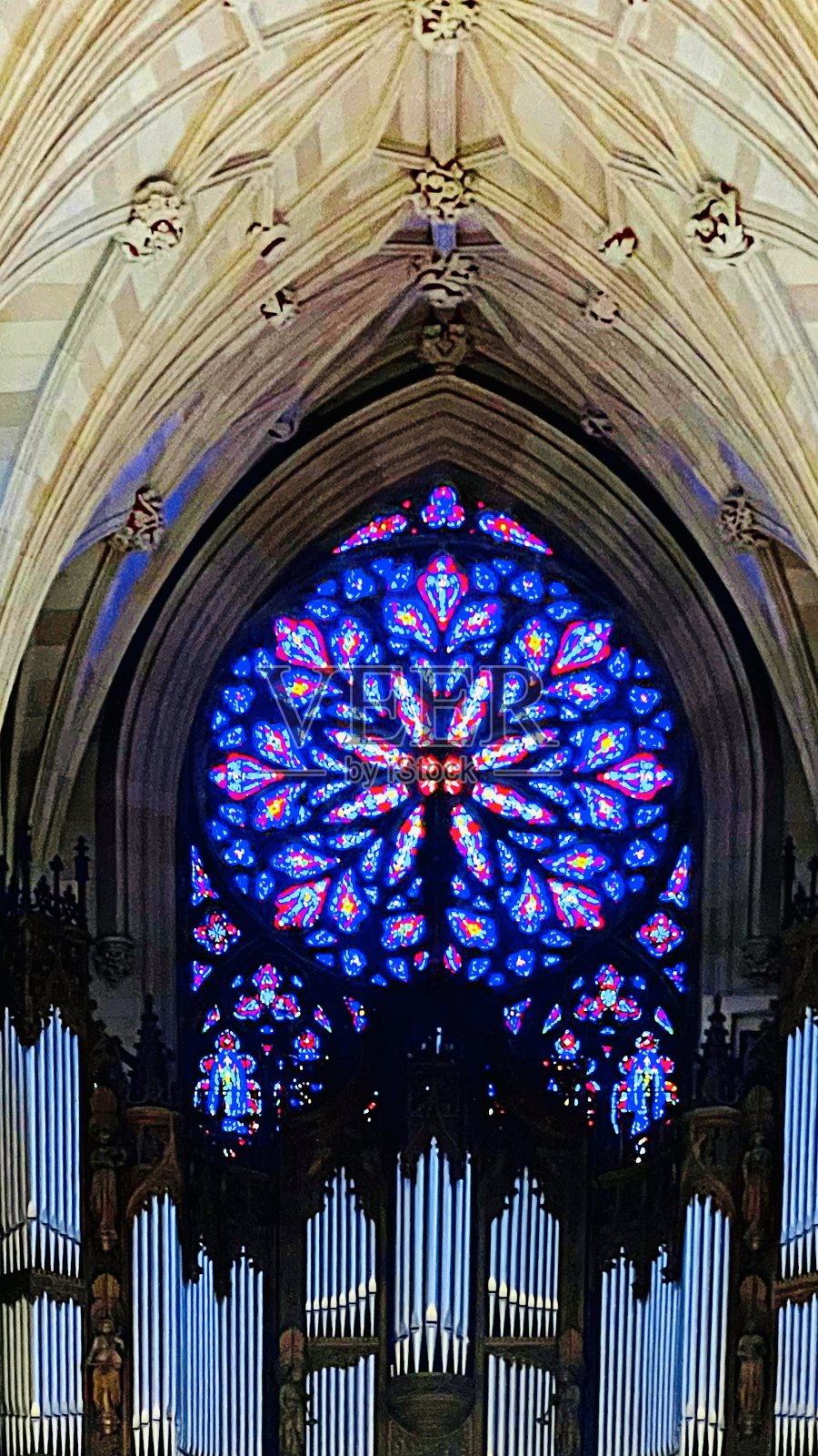 这是圣帕特里克大教堂玫瑰色窗户的照片照片摄影图片