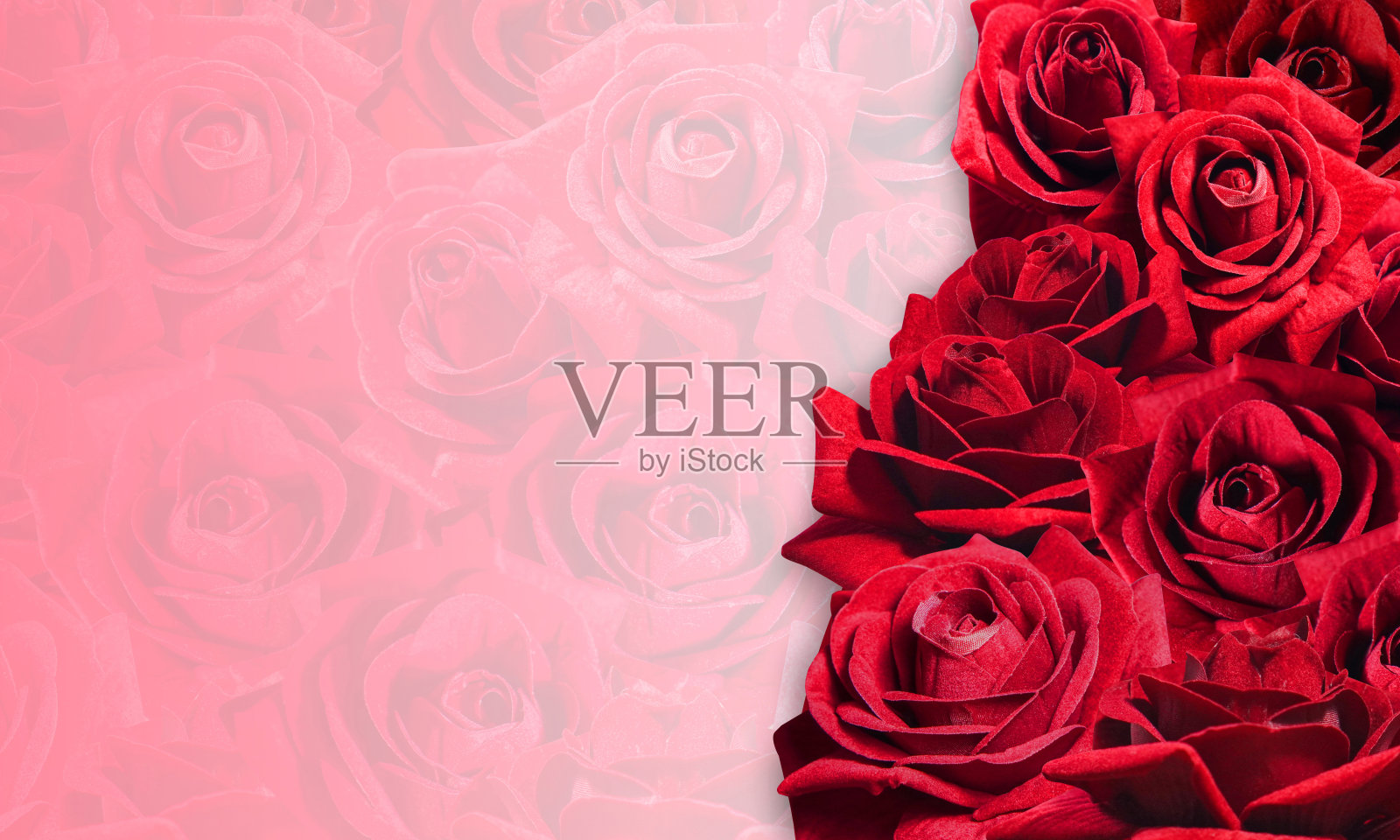 红玫瑰花束模糊玫瑰背景，自然，模板，旗帜，复制空间照片摄影图片