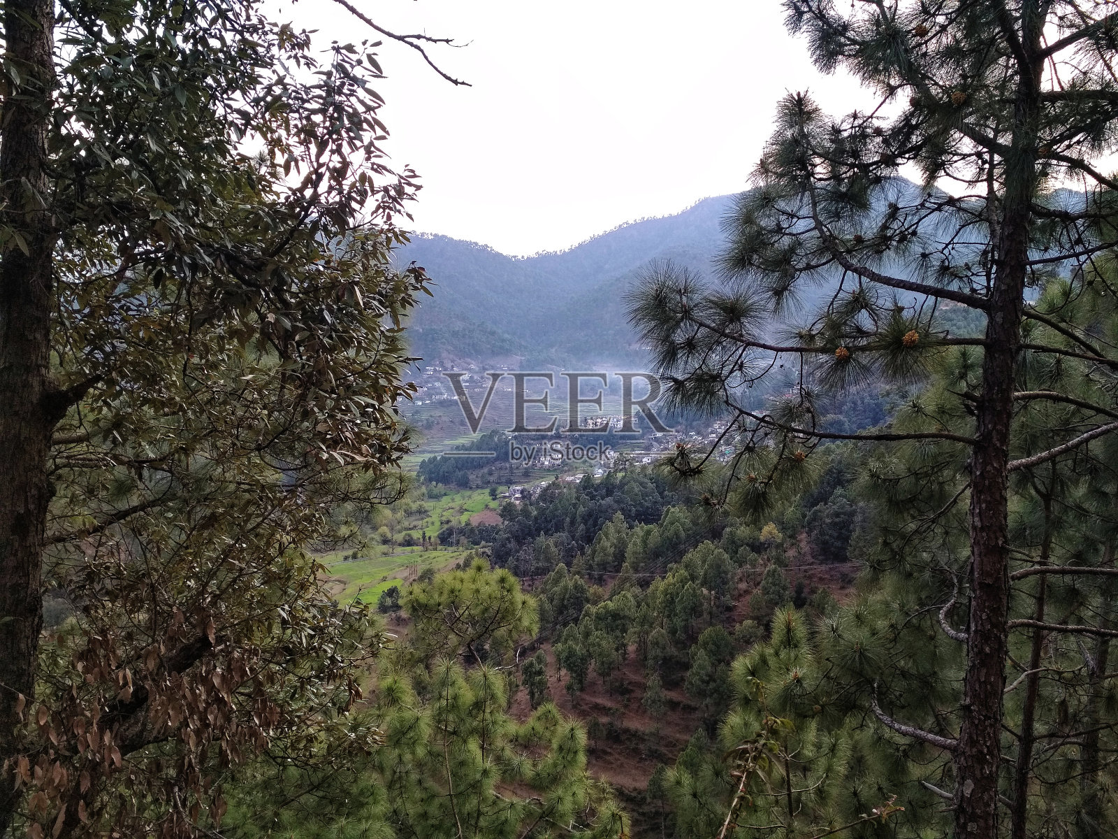 喜马拉雅山谷中的村庄照片摄影图片