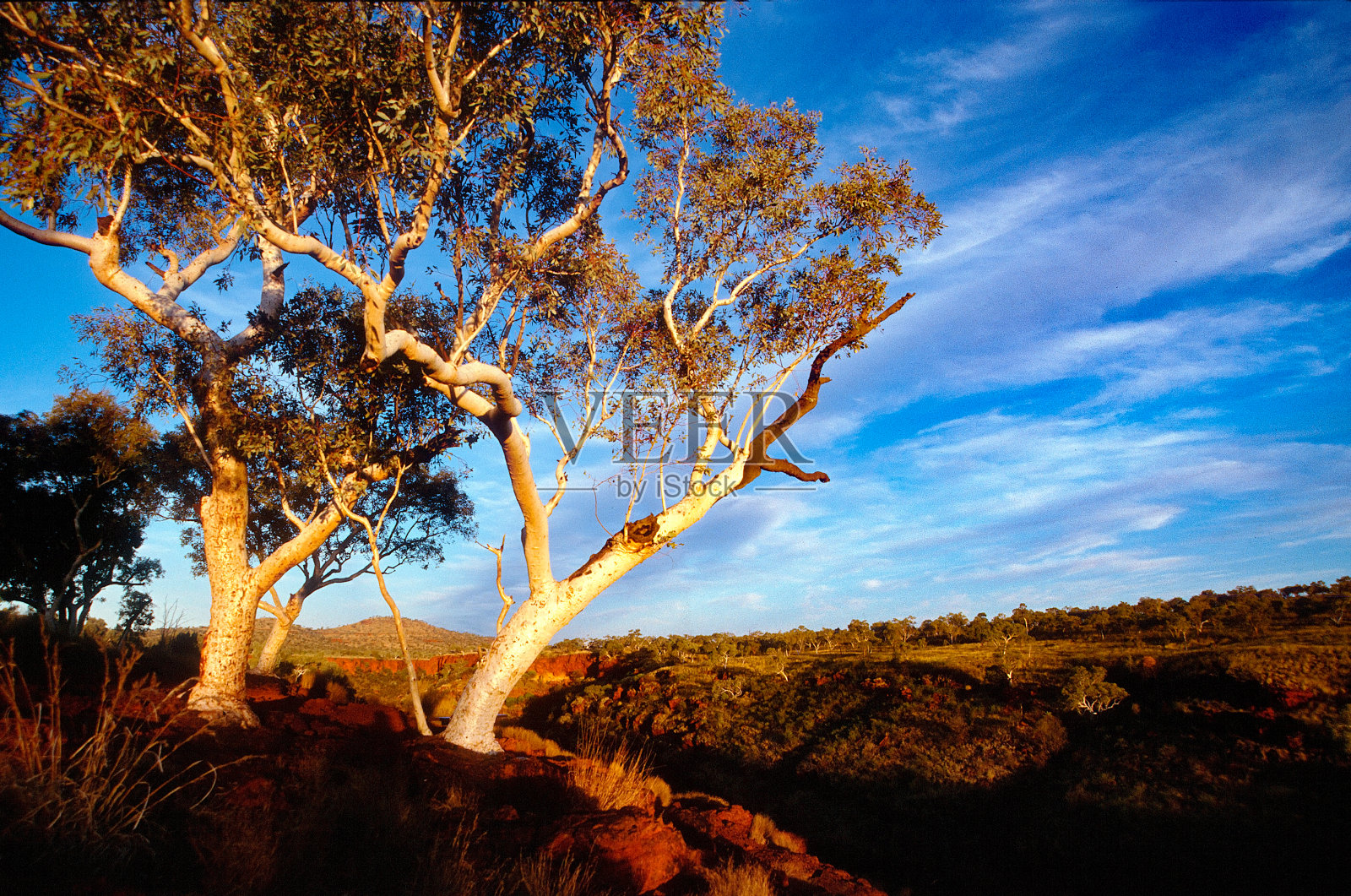 澳大利亚内陆地区风景照片摄影图片