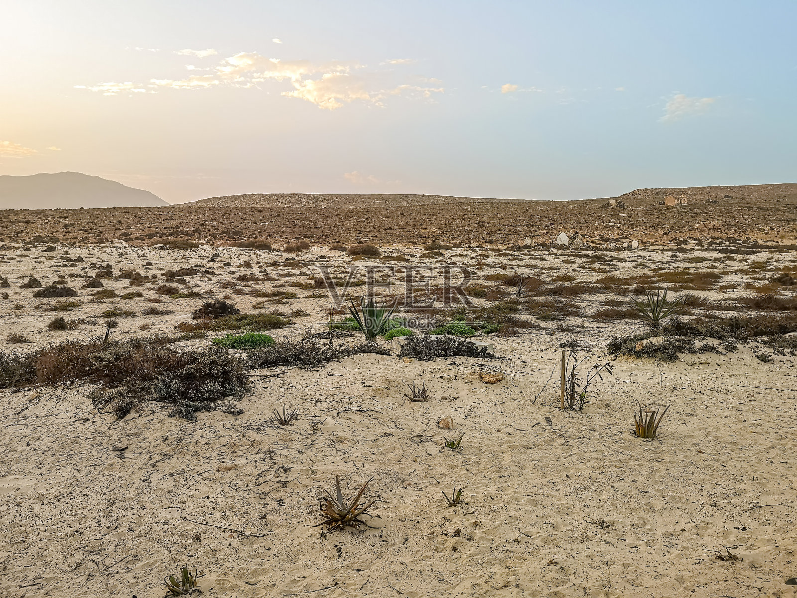 沙漠里二月温暖的早晨照片摄影图片