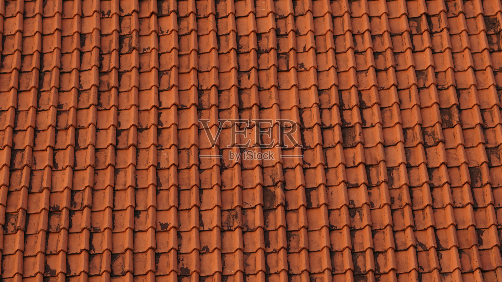 传统的房子的屋顶照片摄影图片