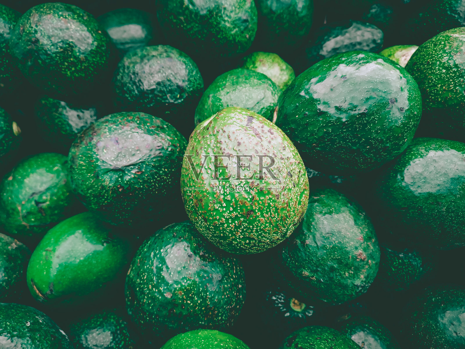 鳄梨照片摄影图片