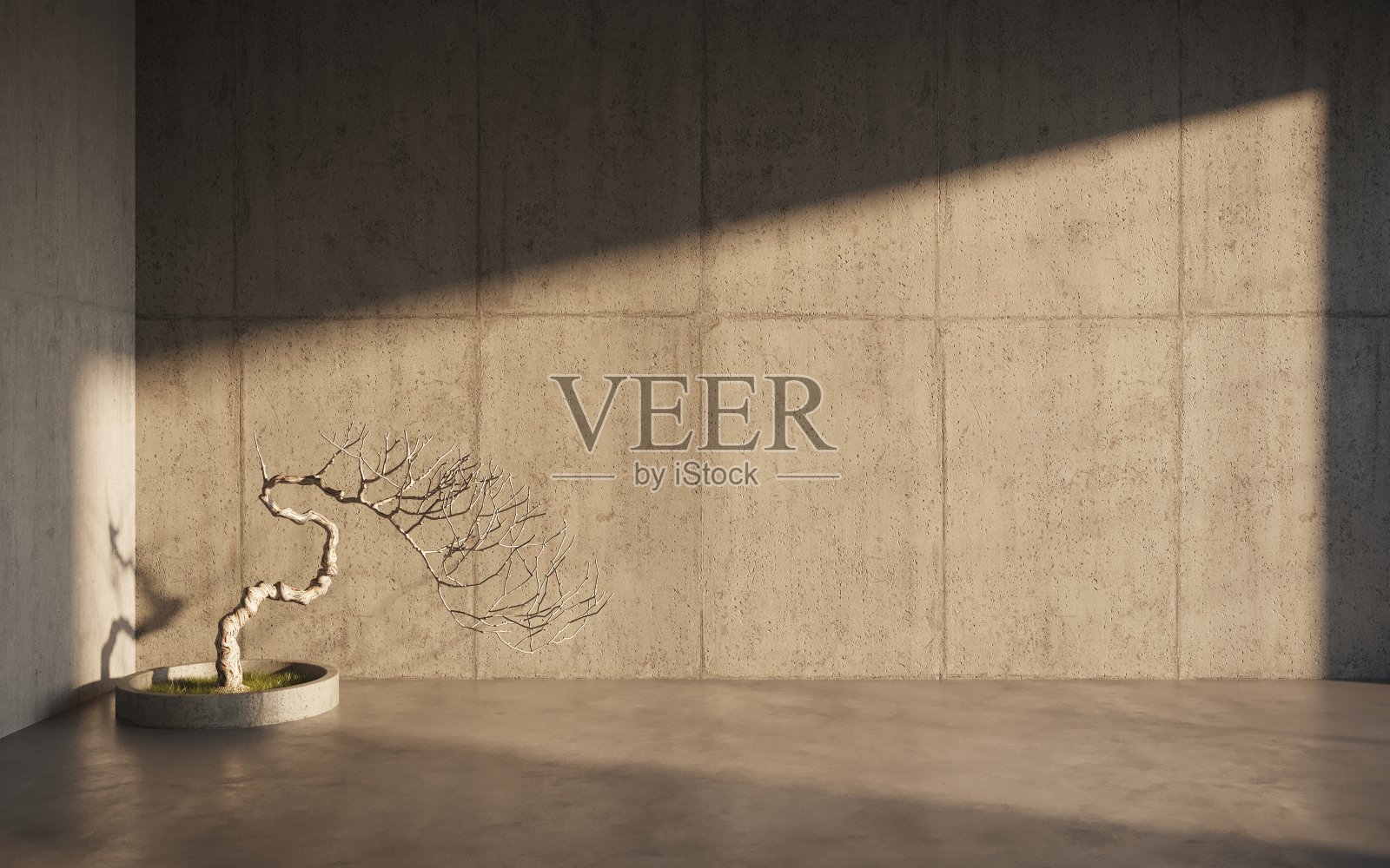 室内装饰植物在室内，3d插图照片摄影图片