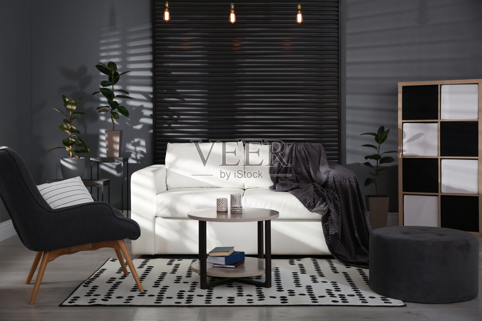 现代的客厅内部配有时尚舒适的沙发照片摄影图片