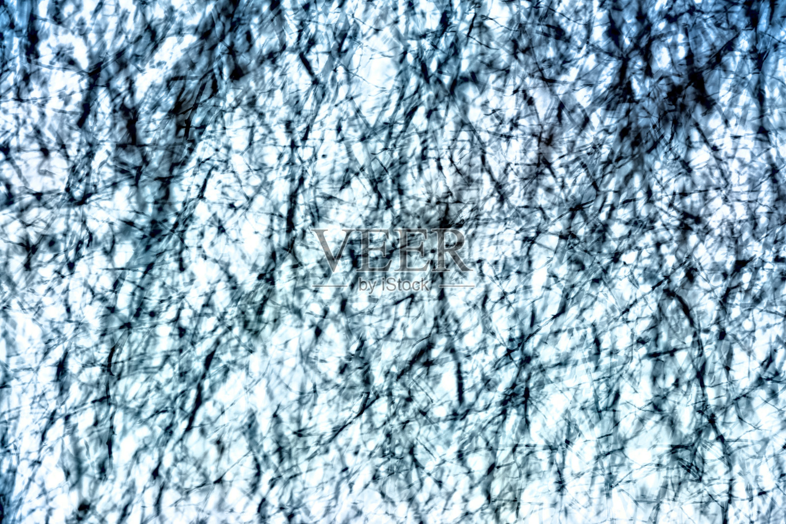 蓝色和白色抽象的树枝背景照片摄影图片