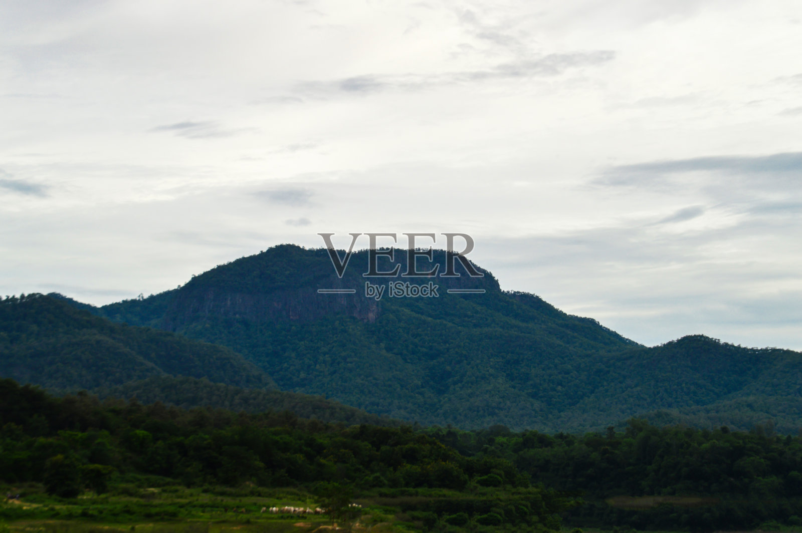 傍晚的山景。五彩缤纷的大自然。照片摄影图片