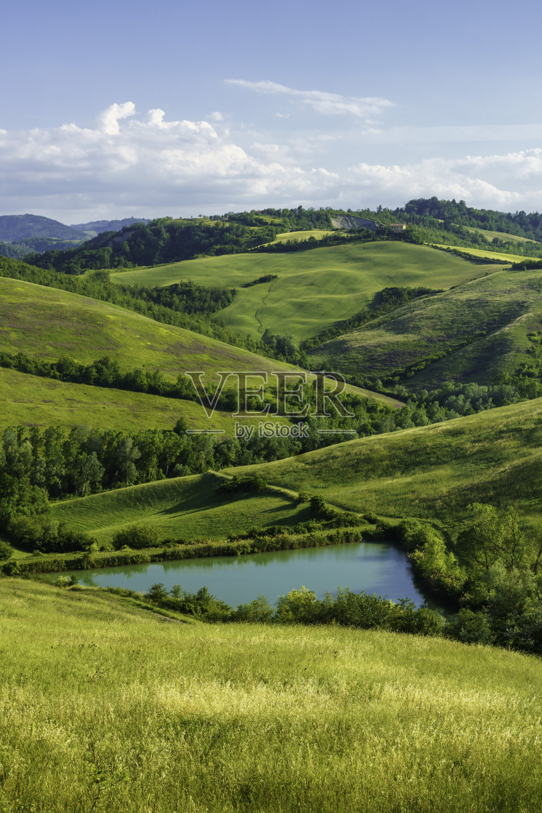 埃米利亚-罗马涅，博洛尼亚附近的丘陵上的乡村景观。照片摄影图片