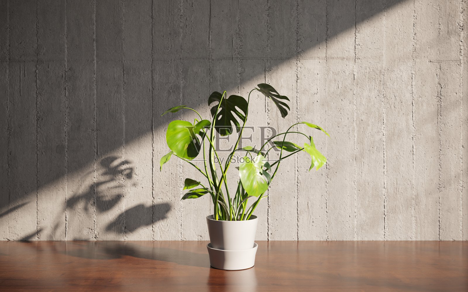 桌上花瓶里的装饰性花朵。3D插图，cg渲染照片摄影图片