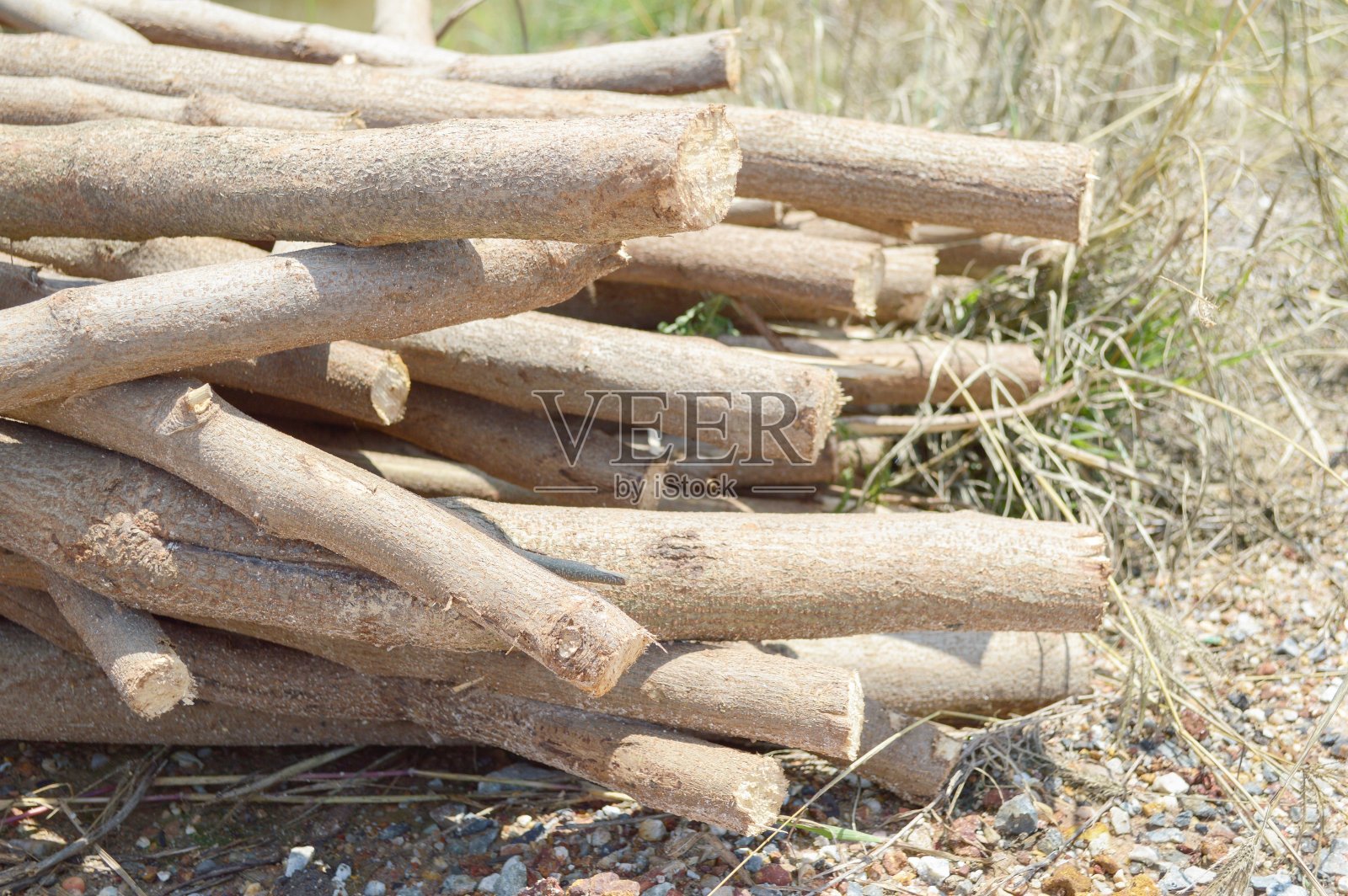 自然花园中的原木照片摄影图片