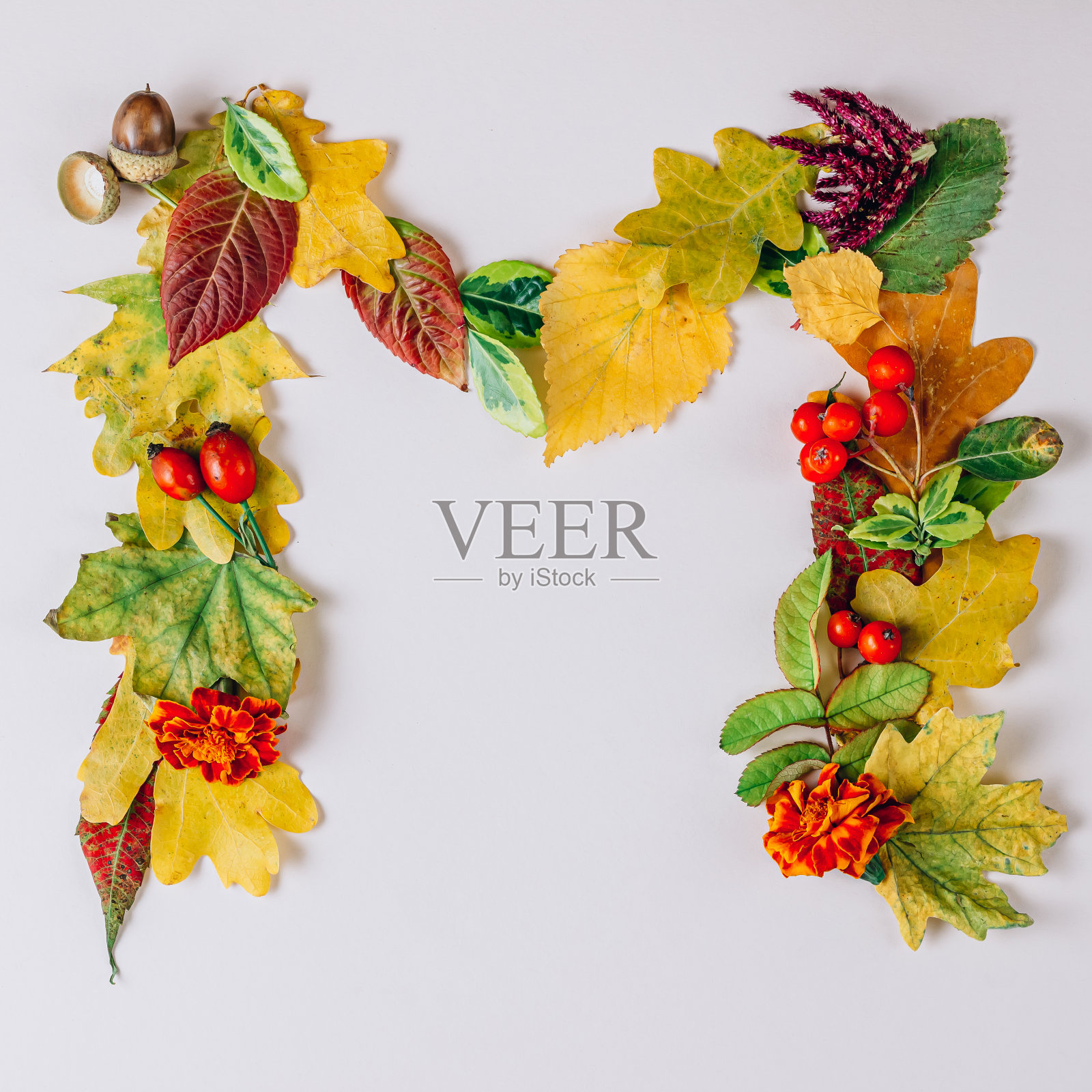 由秋叶组成的英文字母。在米色背景上设计的字体。照片摄影图片