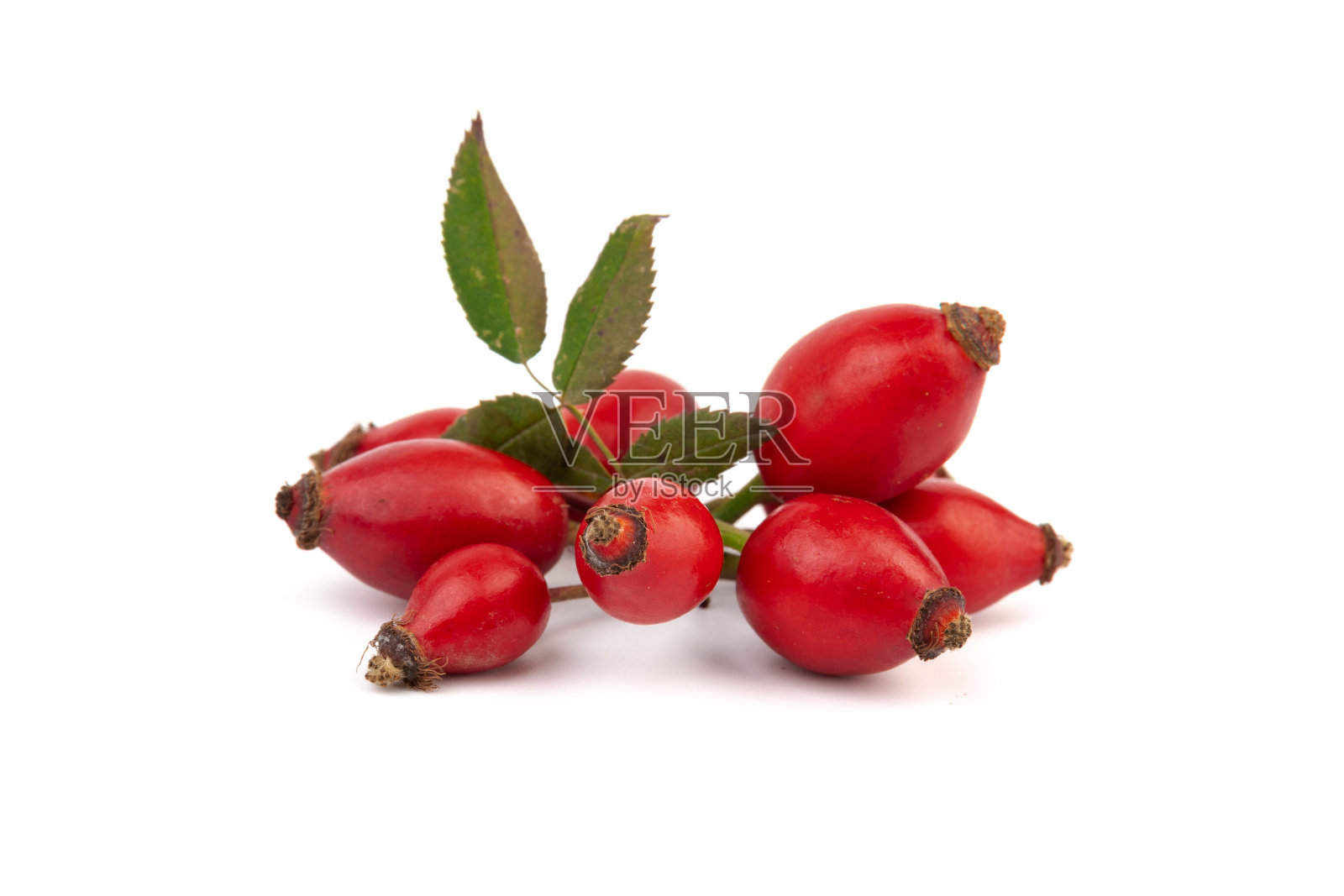 孤立在白色背景上的蔷薇果。带叶子的新鲜生浆果。照片摄影图片