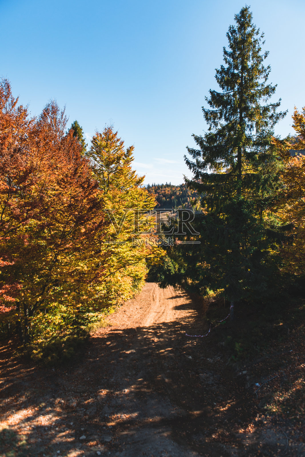 喀尔巴阡山脉的秋景照片摄影图片