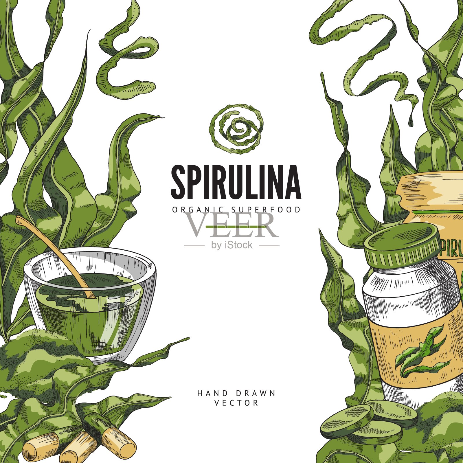 螺旋藻绿色海藻有机超级食品素描背景插画图片素材