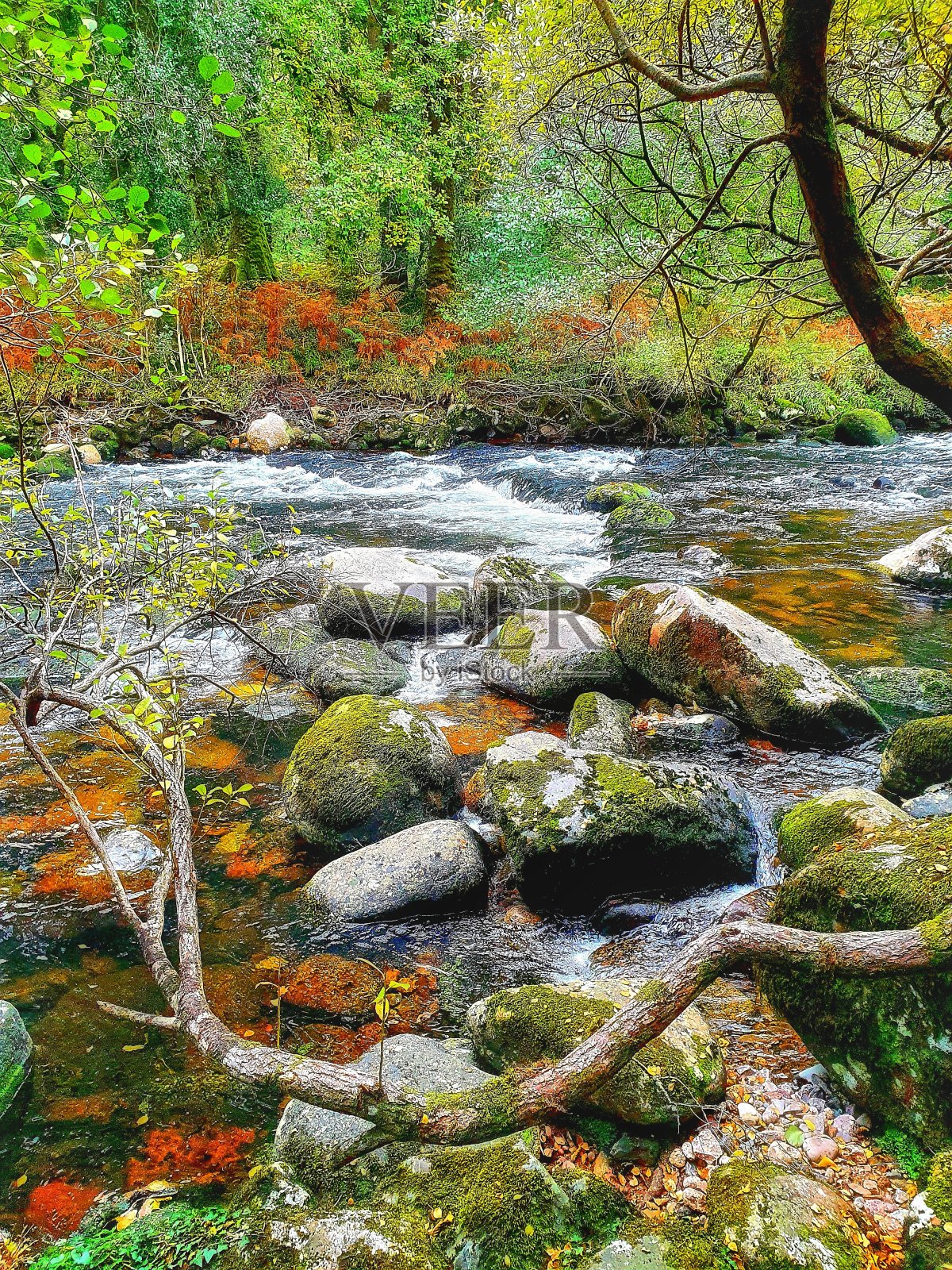 自然保护区照片摄影图片