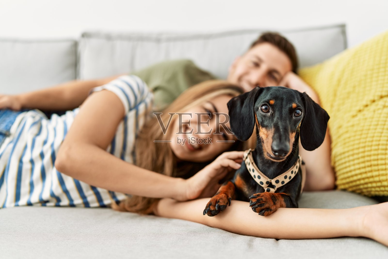 一对年轻的西班牙夫妇开心地躺在沙发上，家里有一只狗。照片摄影图片