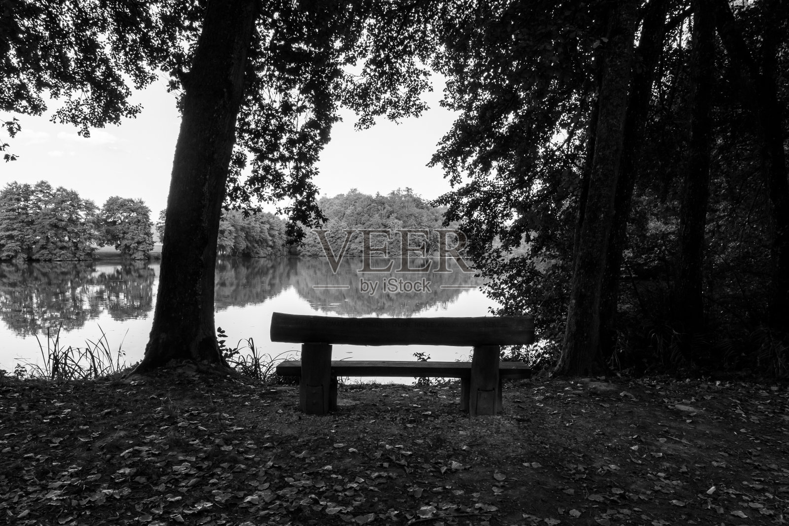 布兰奇夫人的长凳照片摄影图片