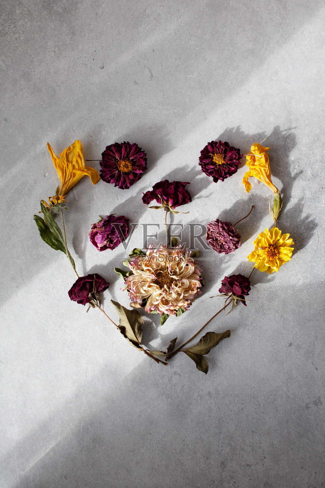 灰色混凝土背景上心形的干花。简约的组合。照片摄影图片