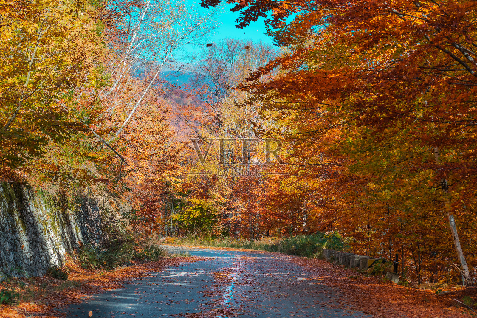 秋天的风景。照片摄影图片