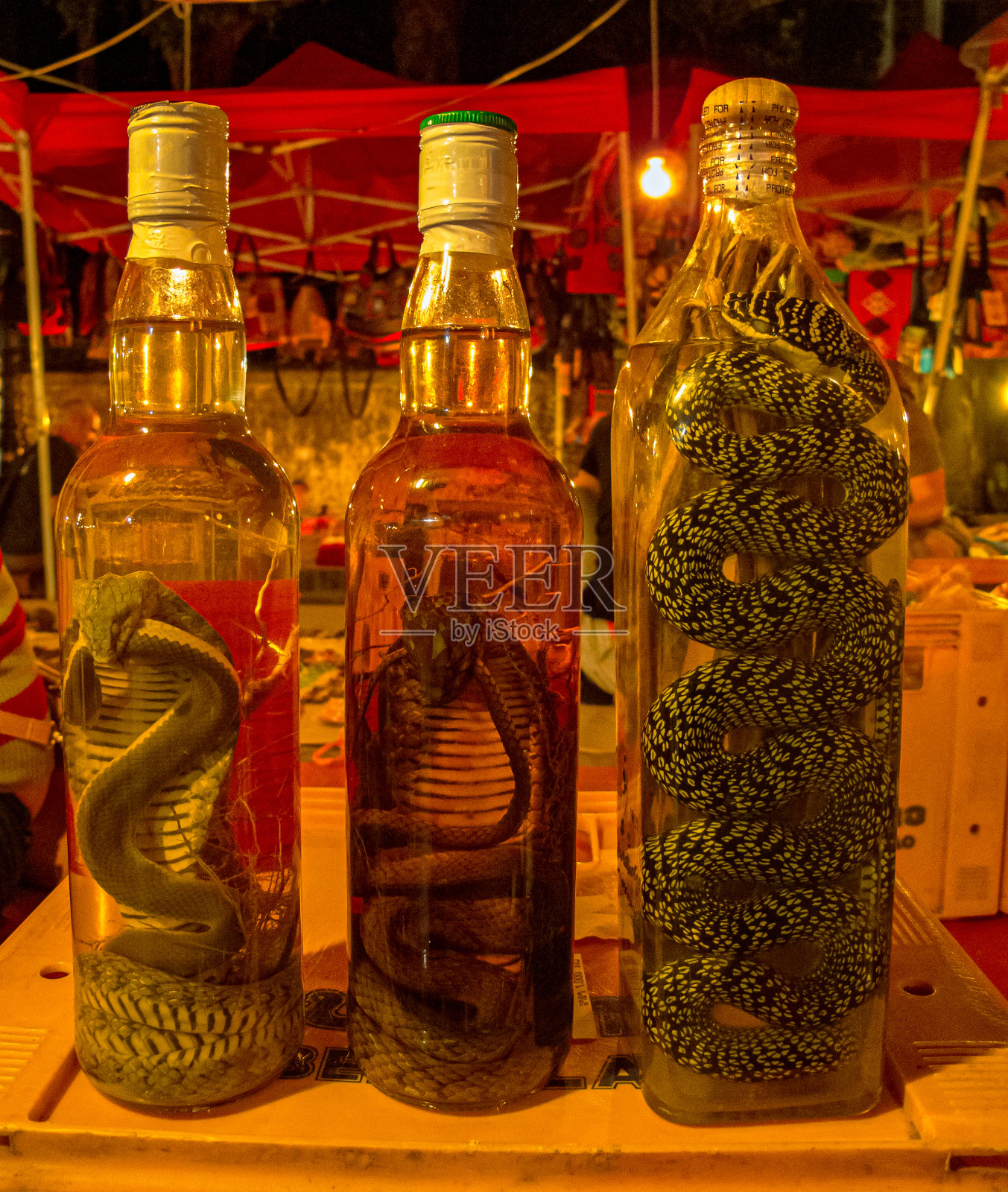 酒瓶里的蛇照片摄影图片