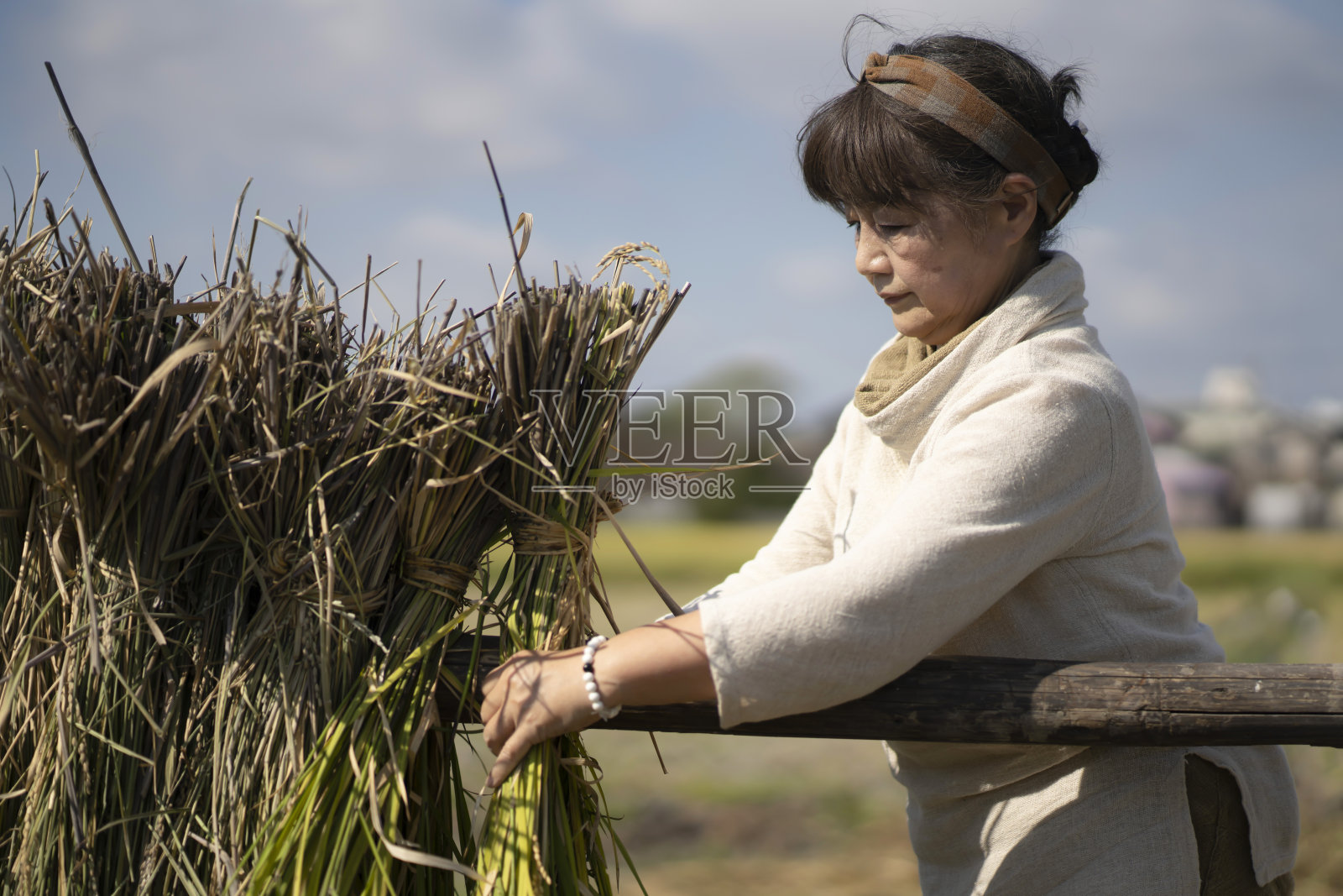 女人干米饭照片摄影图片