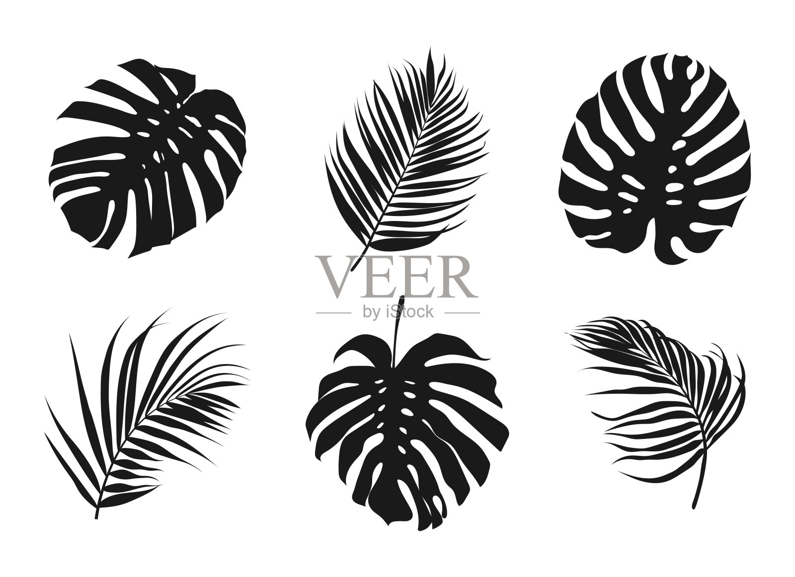 一组黑色剪影的热带棕榈叶。矢量插图。插画图片素材
