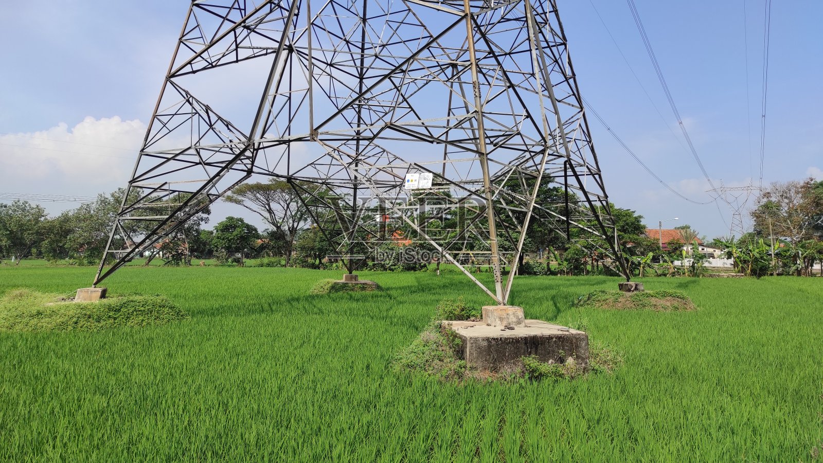 稻田供电塔-库存照片照片摄影图片