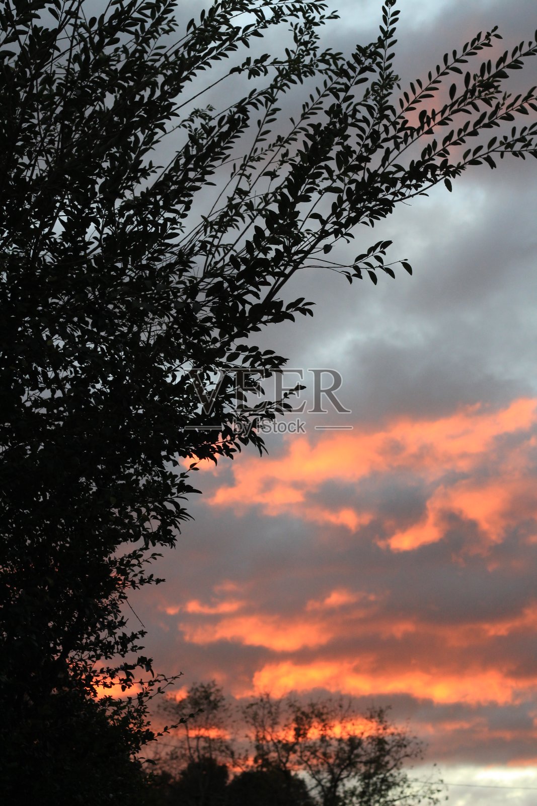 秋天多云的日出照片摄影图片