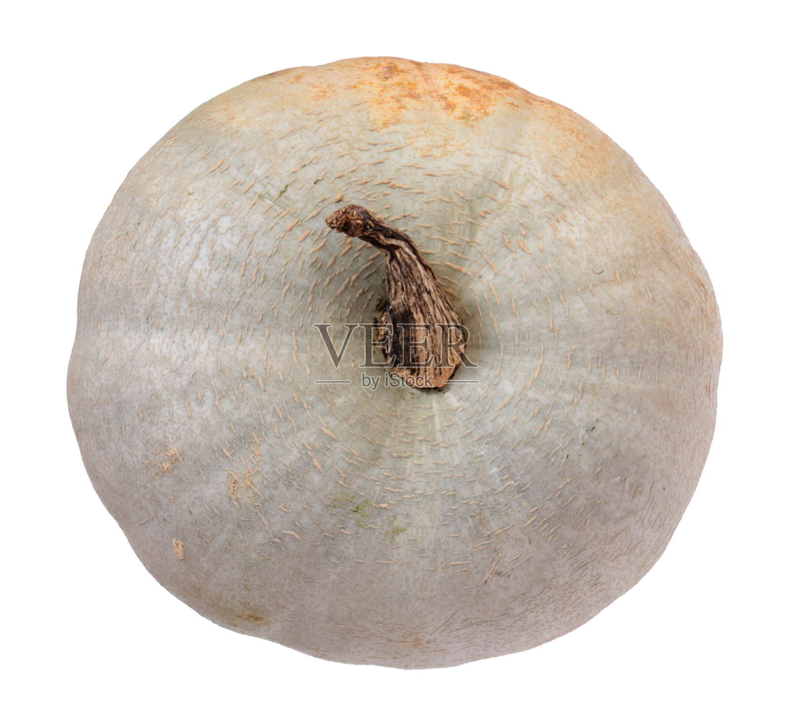 灰色成熟的新鲜南瓜孤立在白色背景上照片摄影图片