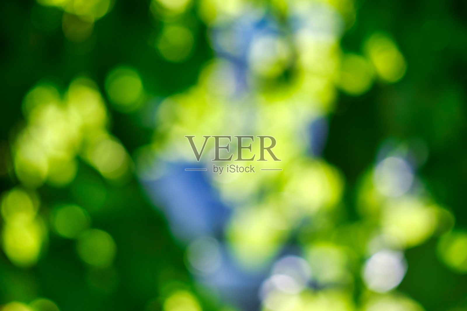 摘要，大自然背景散景，绿树成荫的森林。照片摄影图片