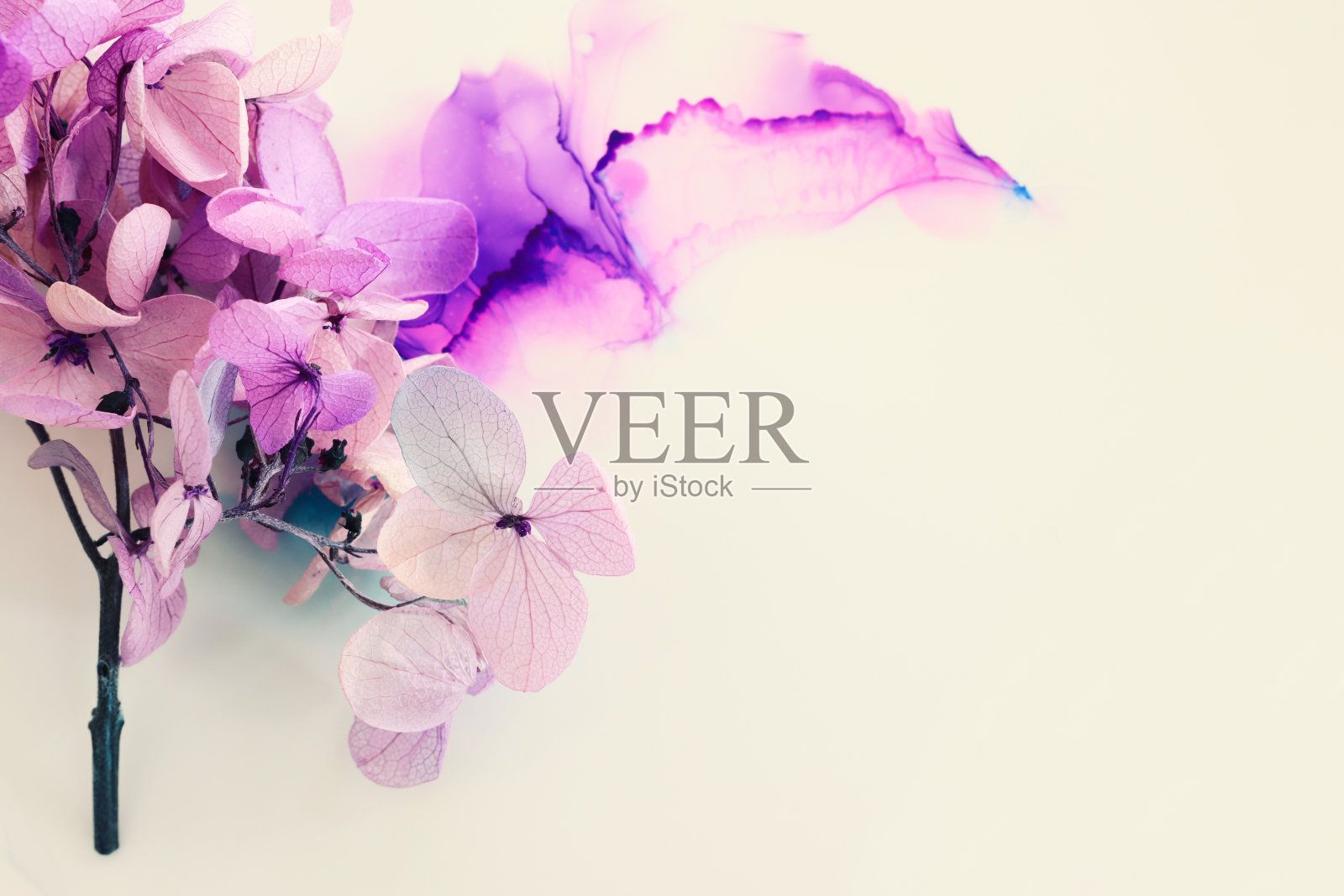 创意形象的粉红色和紫色绣球花艺术墨水背景。顶部视图与复制空间照片摄影图片