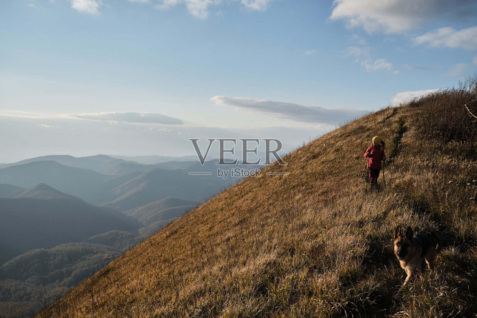 国家公园徒步路线。背着背包和棍子在云层上行走。女游客在高高的枯黄的草丛中，沿着山顶的狭窄小径行走。照片摄影图片