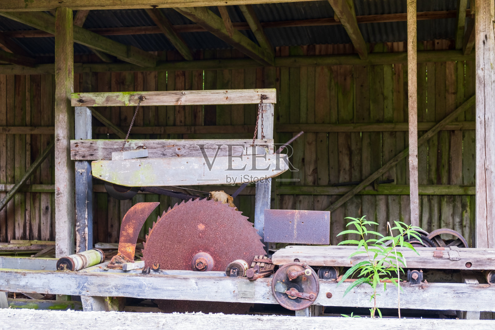 老锯木厂用一把生锈的锯照片摄影图片