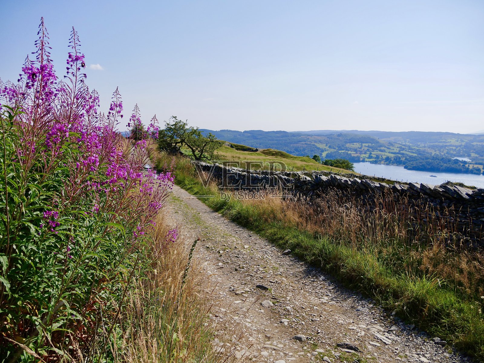 湖区照片摄影图片