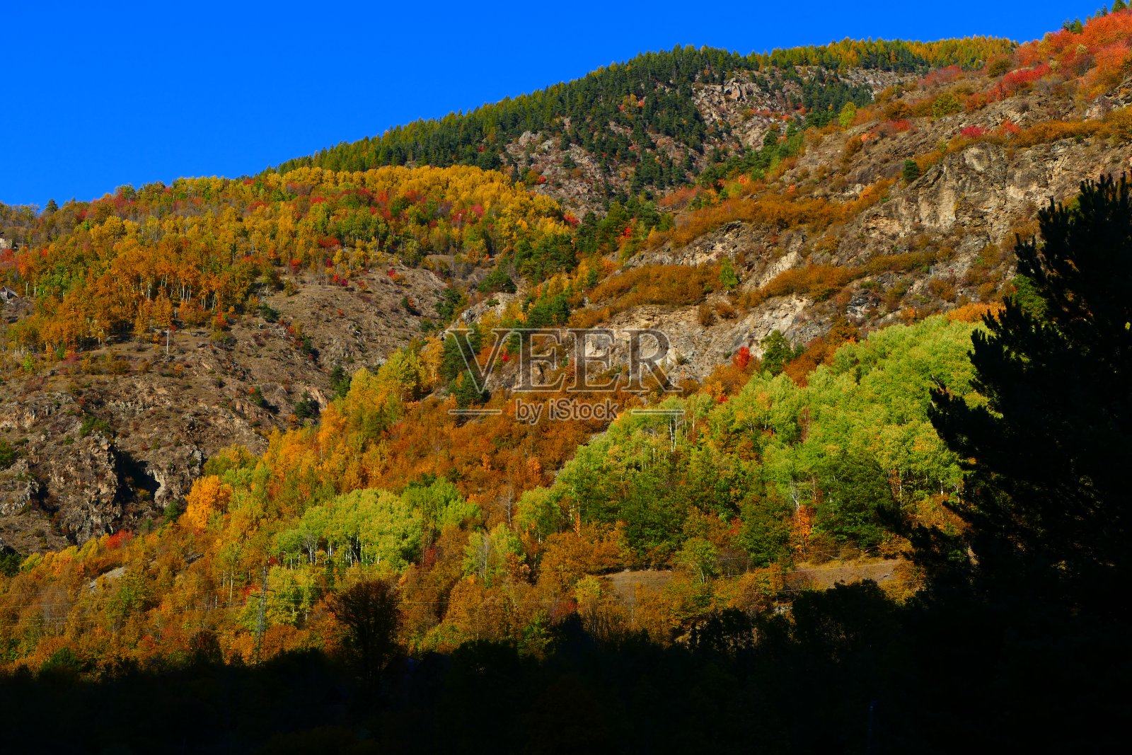 Tinée山谷的秋天，海上阿尔卑斯山照片摄影图片