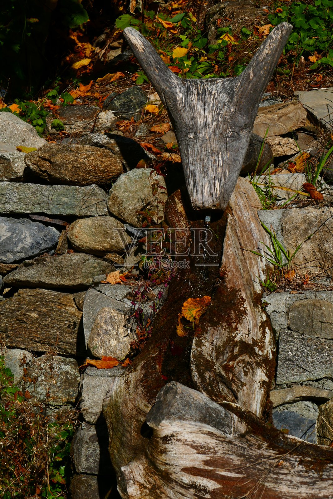 来源段安附近，Tinée谷照片摄影图片