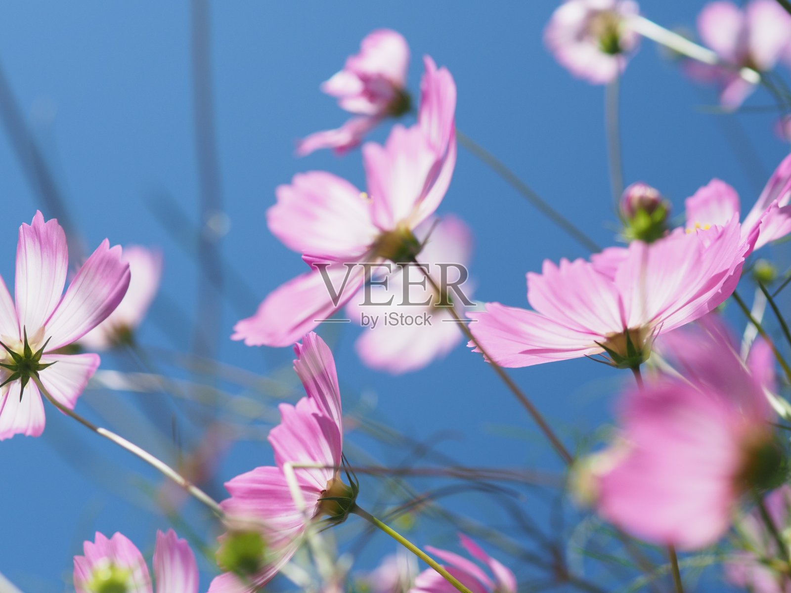 宇宙照片摄影图片