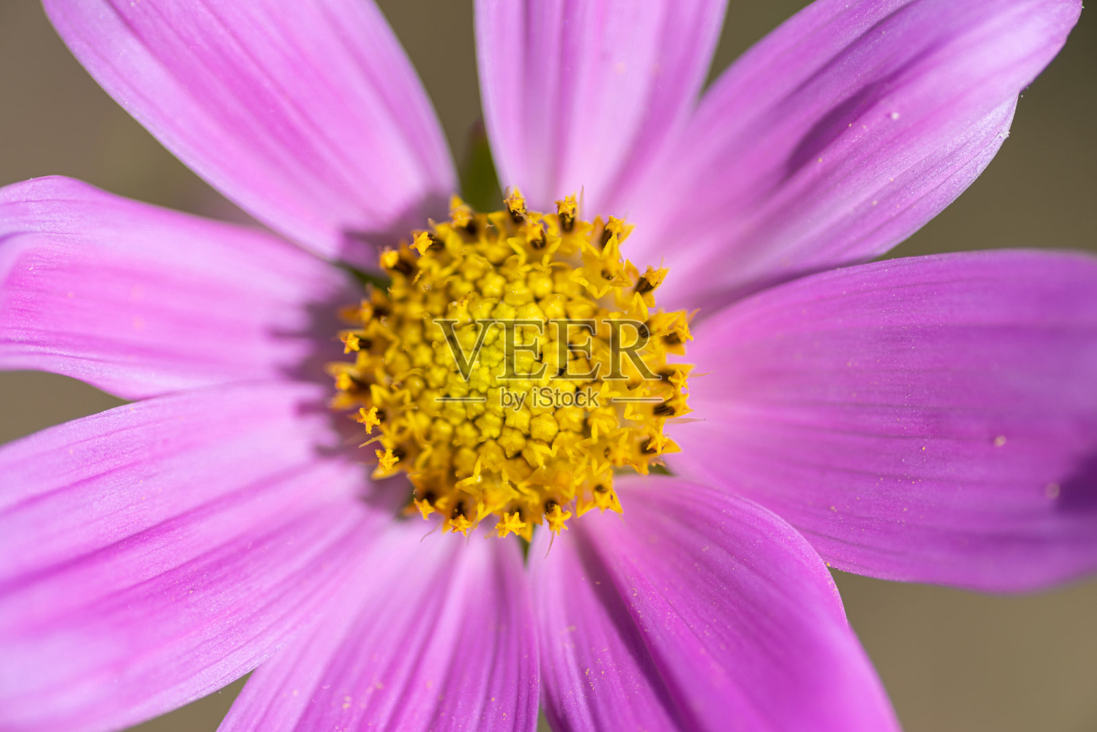 宇宙照片摄影图片